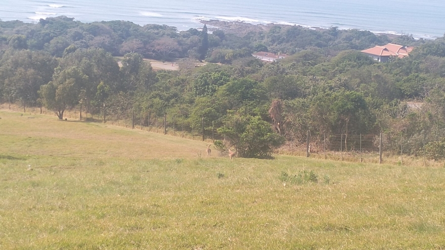 Commercial Property for Sale in Cintsa East Eastern Cape